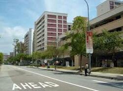 Blk 407 Sun Plaza Green (Tampines), HDB 3 Rooms #581335601
